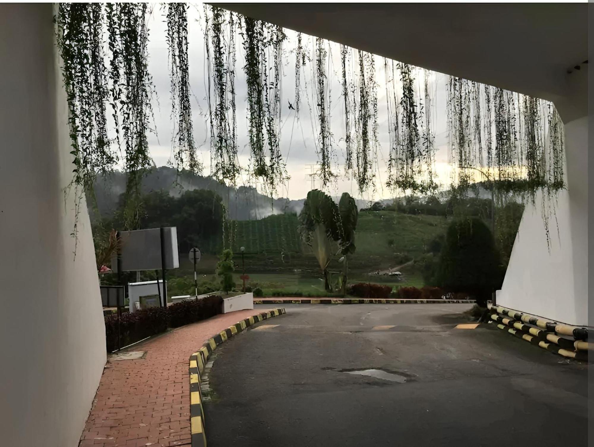 Bukit Tinggi Fuchsia Hillhomes エクステリア 写真